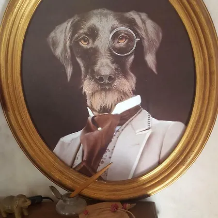 Bed & Breakfast La Belle Vie Montréal